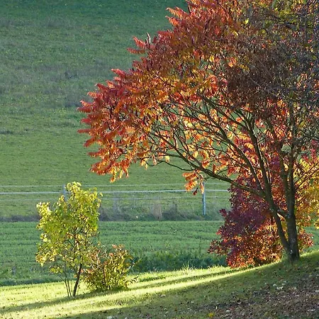 Lägenhet Landurlaub Wittmann