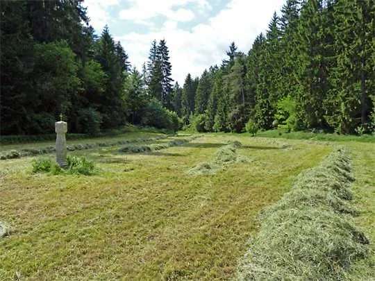 Appartement Landurlaub Wittmann *